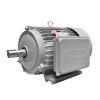 MOTOR ELECTRICO MONOFASICO 1HP 1750RPM 220V