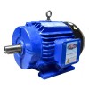 MOTOR TRIFASICO 3HP 1800RPM 220/380V